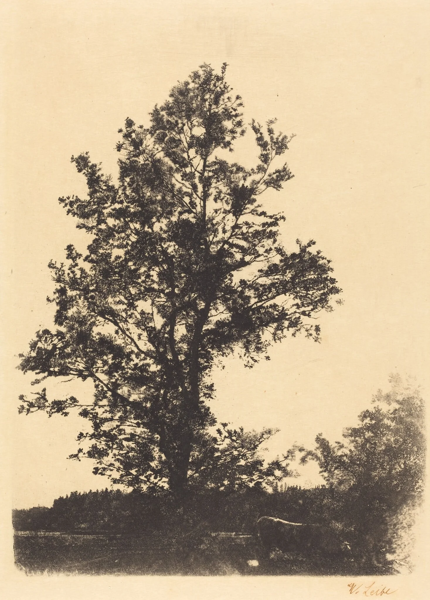 The Large Tree, detail