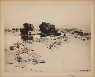 Cape Ann Willows, by Charles A. Platt, ink, 1887