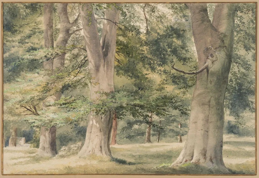 Beech Trees, by Thomas Frederick Collier, watercolor, 1864