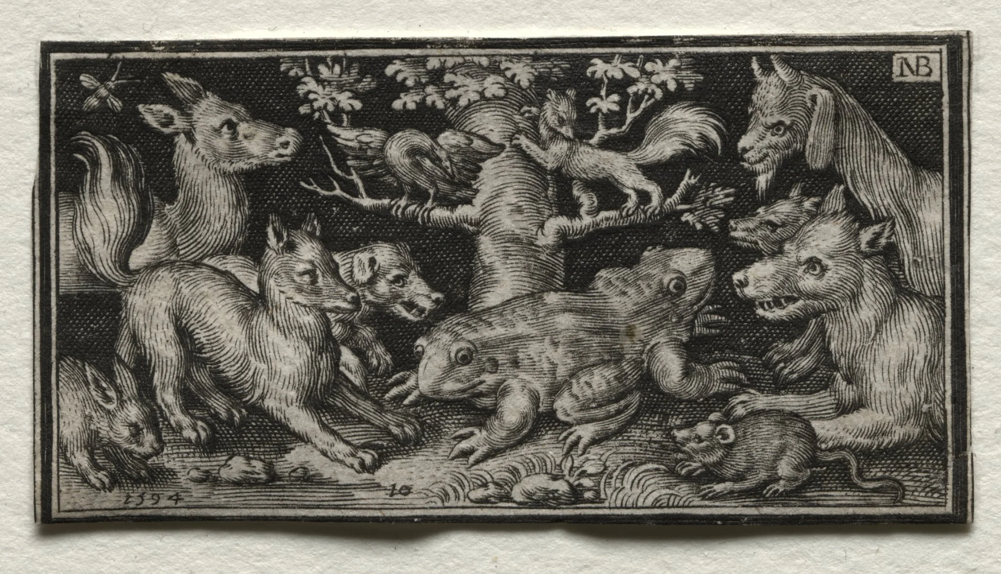 Two-headed Frog surrounded by Animals, detail