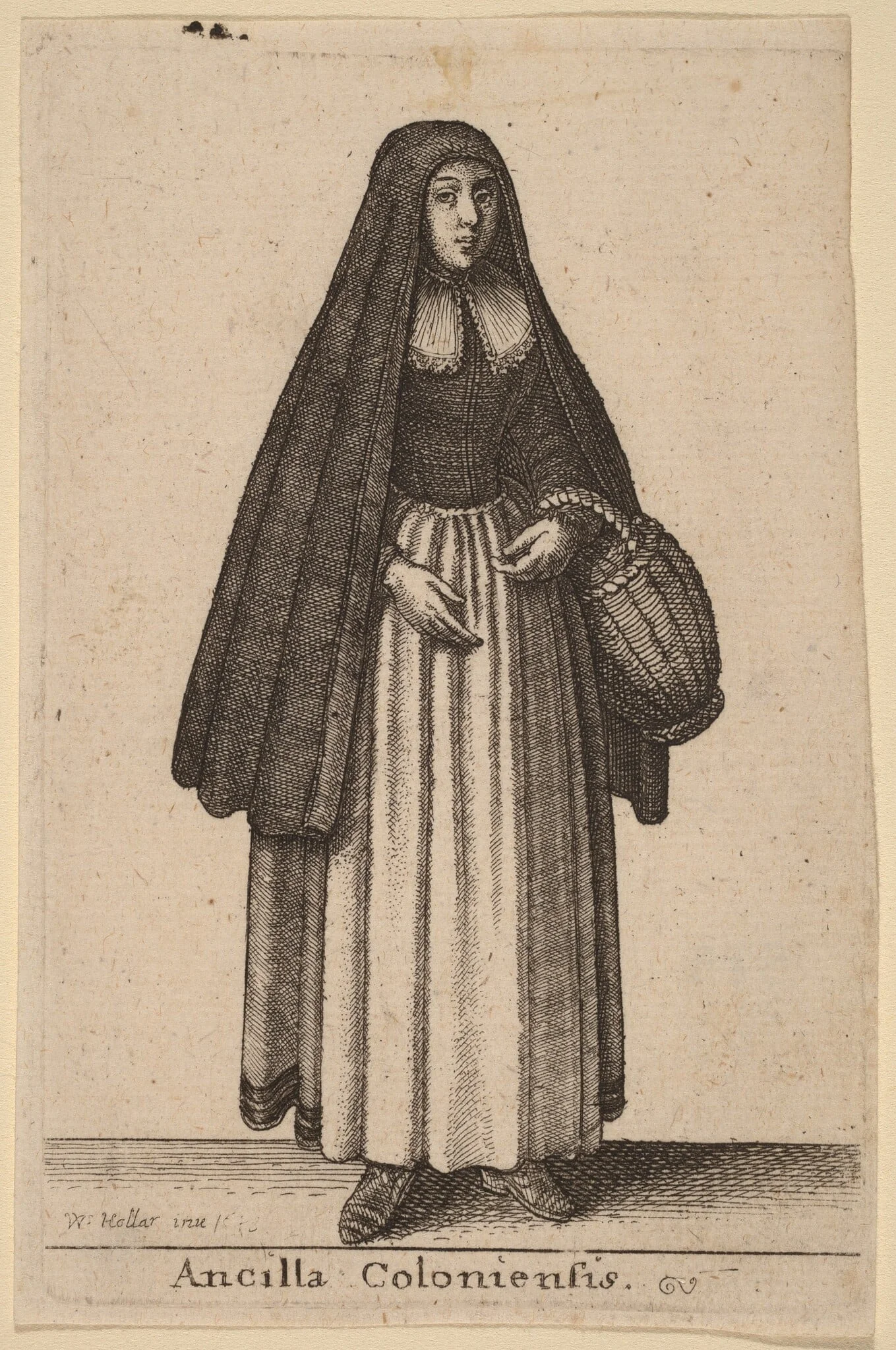 Ancilla Coloniensis, detail
