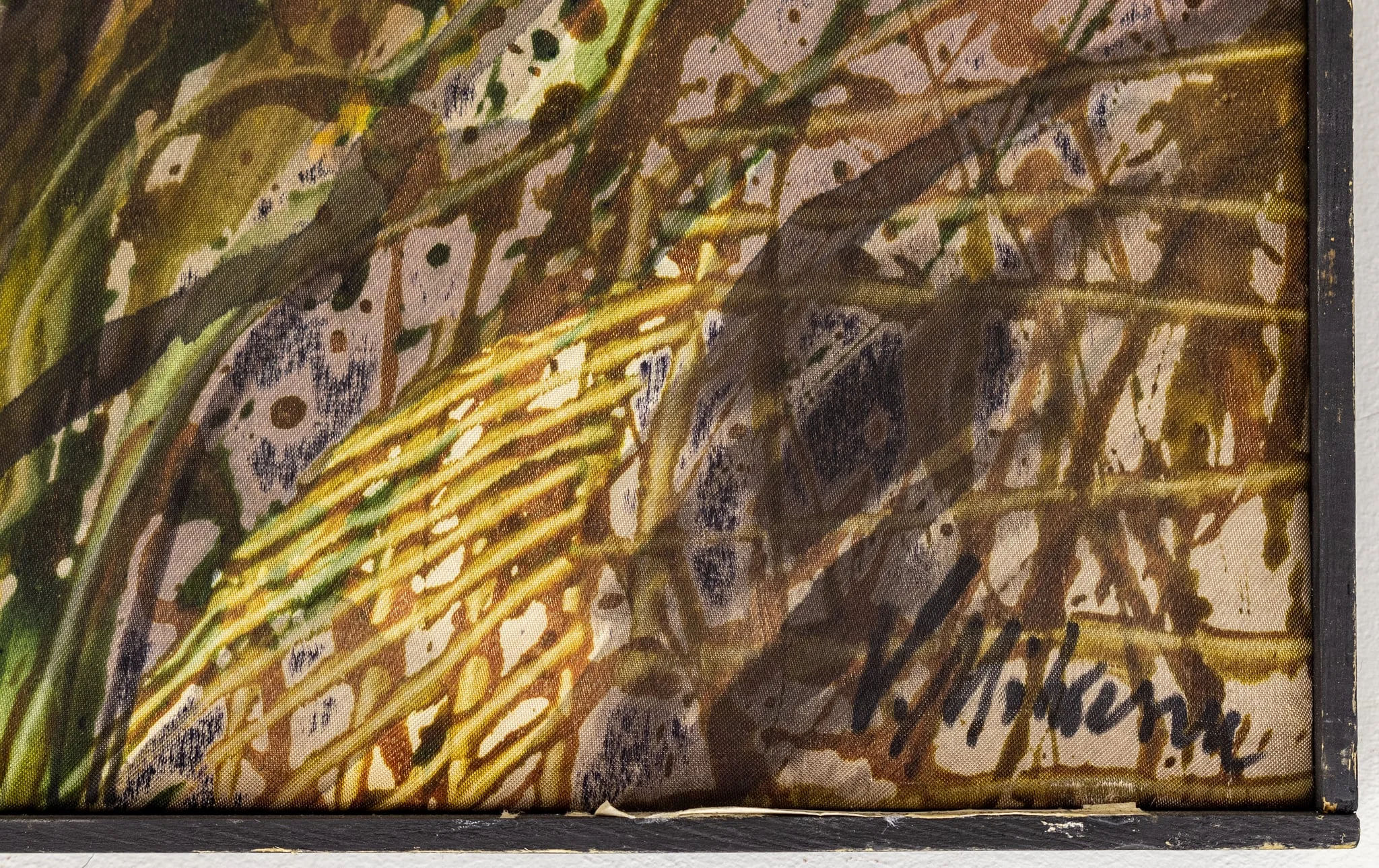 Maluri, detail