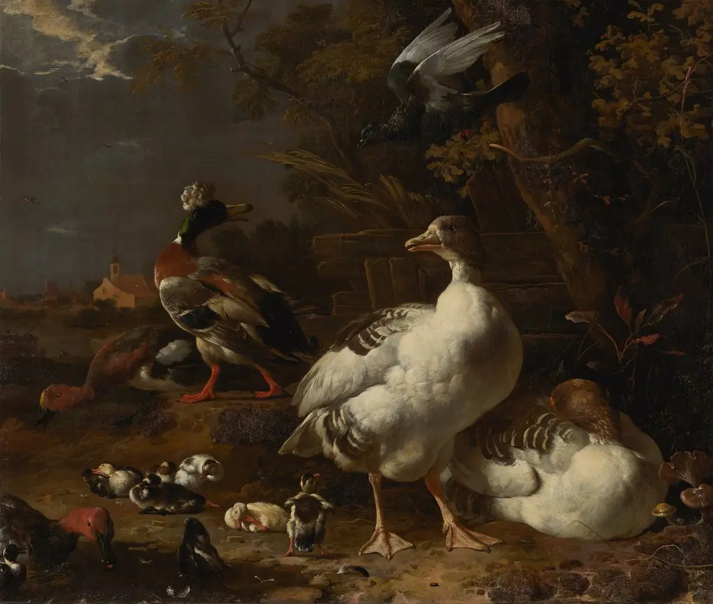 Geese and Ducks, by Melchior d' Hondecoeter, oil, 1690
