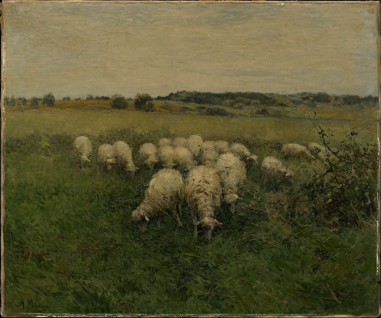 Sheep Grazing in an Open Field, detail