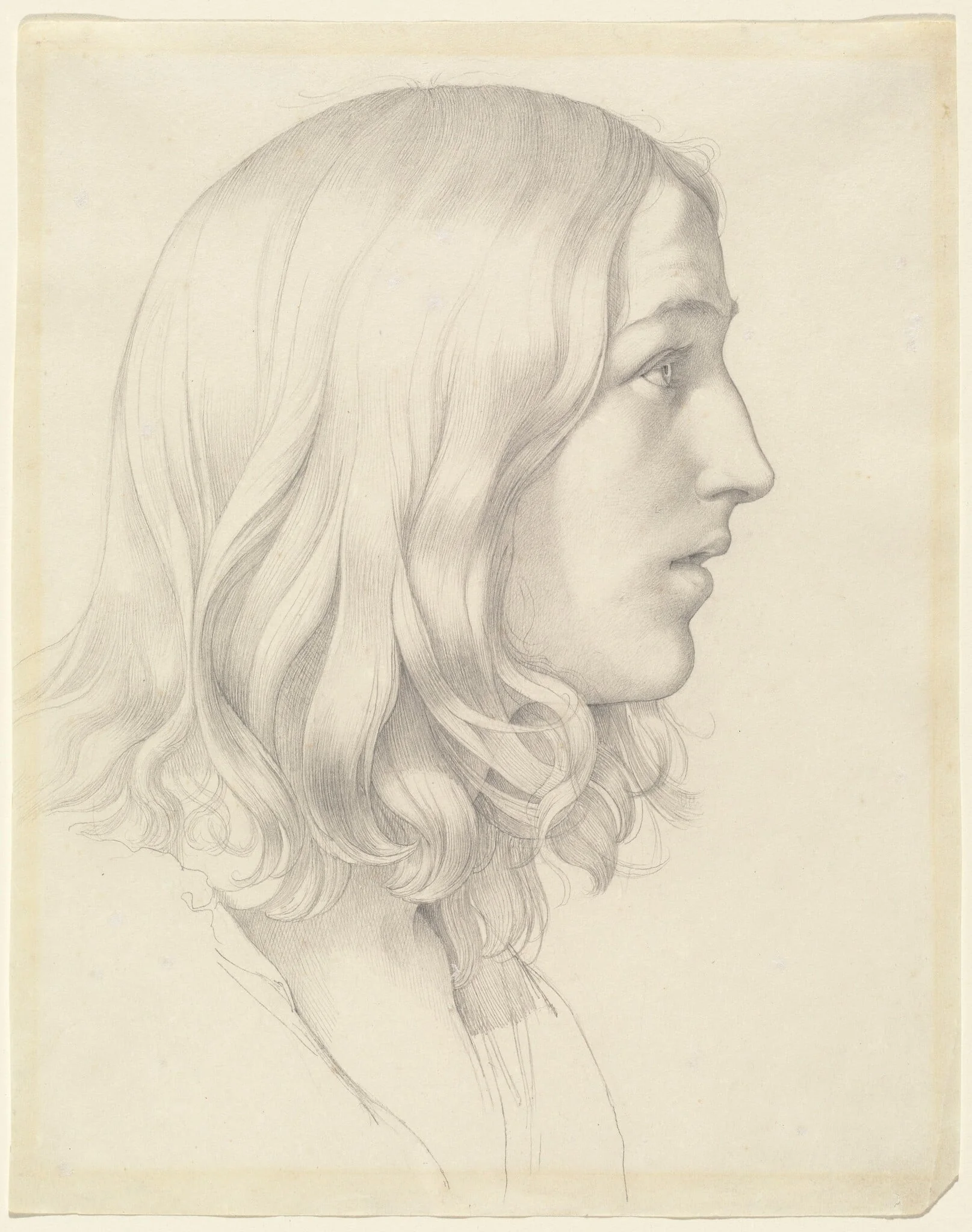 Head of a Young Man, detail