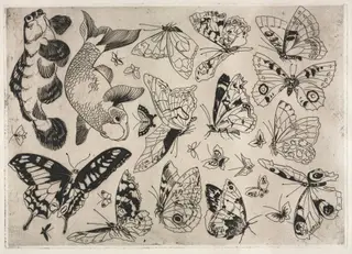 Dinner Service (Rousseau service): Butterflies and Fish (no. 16), by Félix Bracquemond, 1866