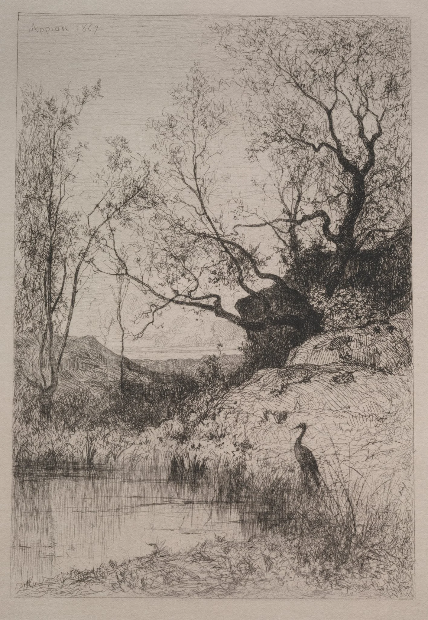 A Pond, detail