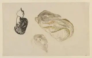 Studies of a rabbit and a cat, by Beatrix Potter, watercolor, 1850