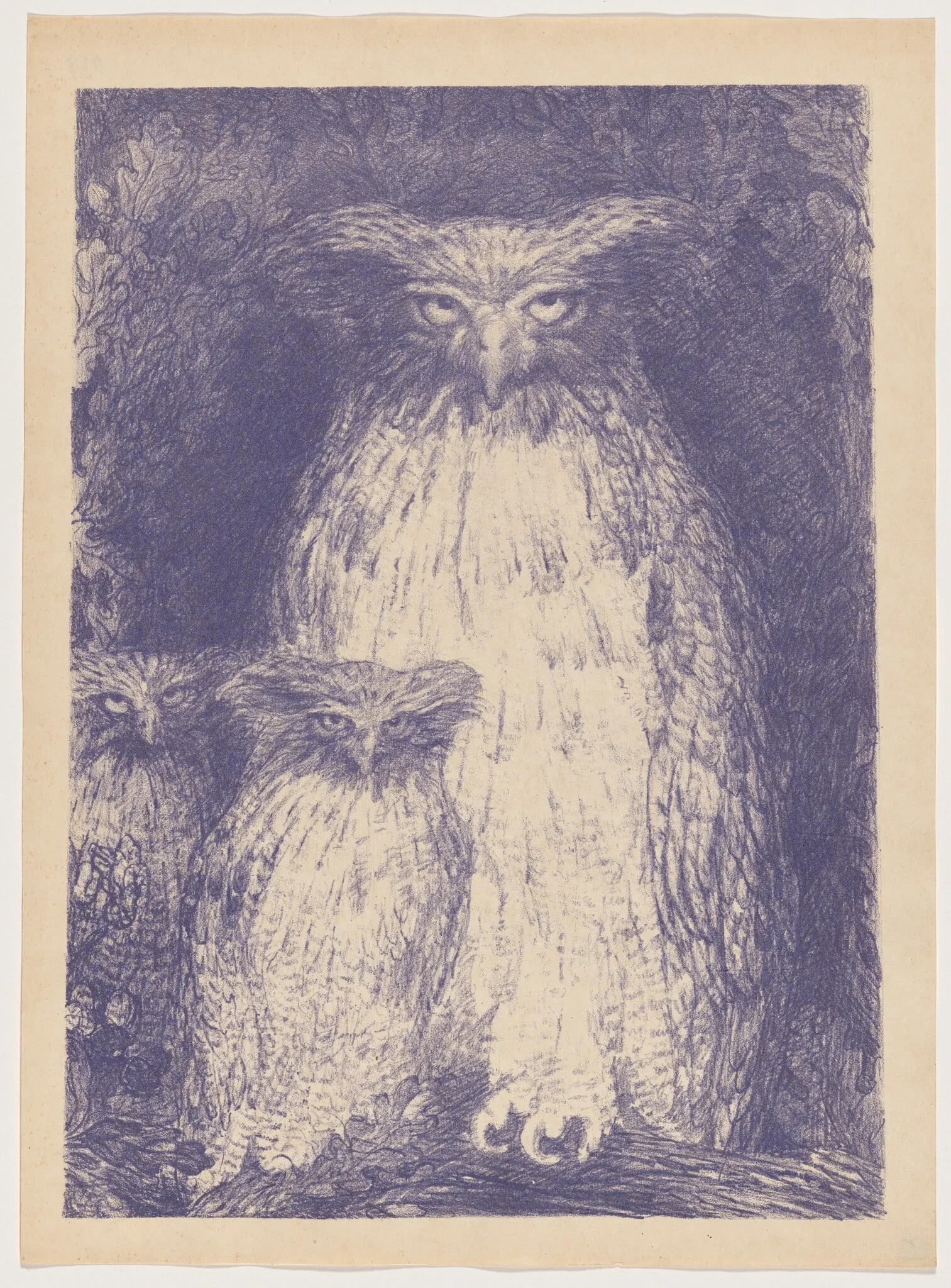 Grand-duc (Eagle Owl), detail