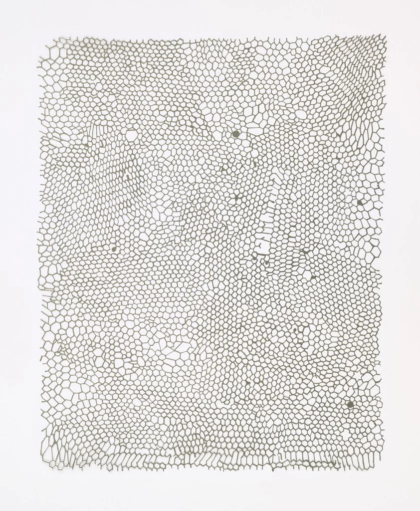 Untitled, detail
