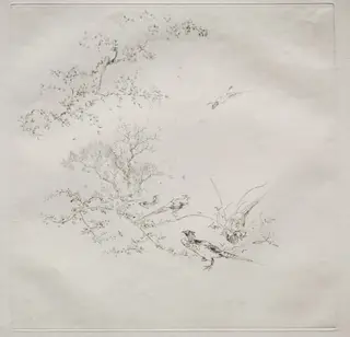Parisian Service (Haviland service), by Félix Bracquemond, 1875