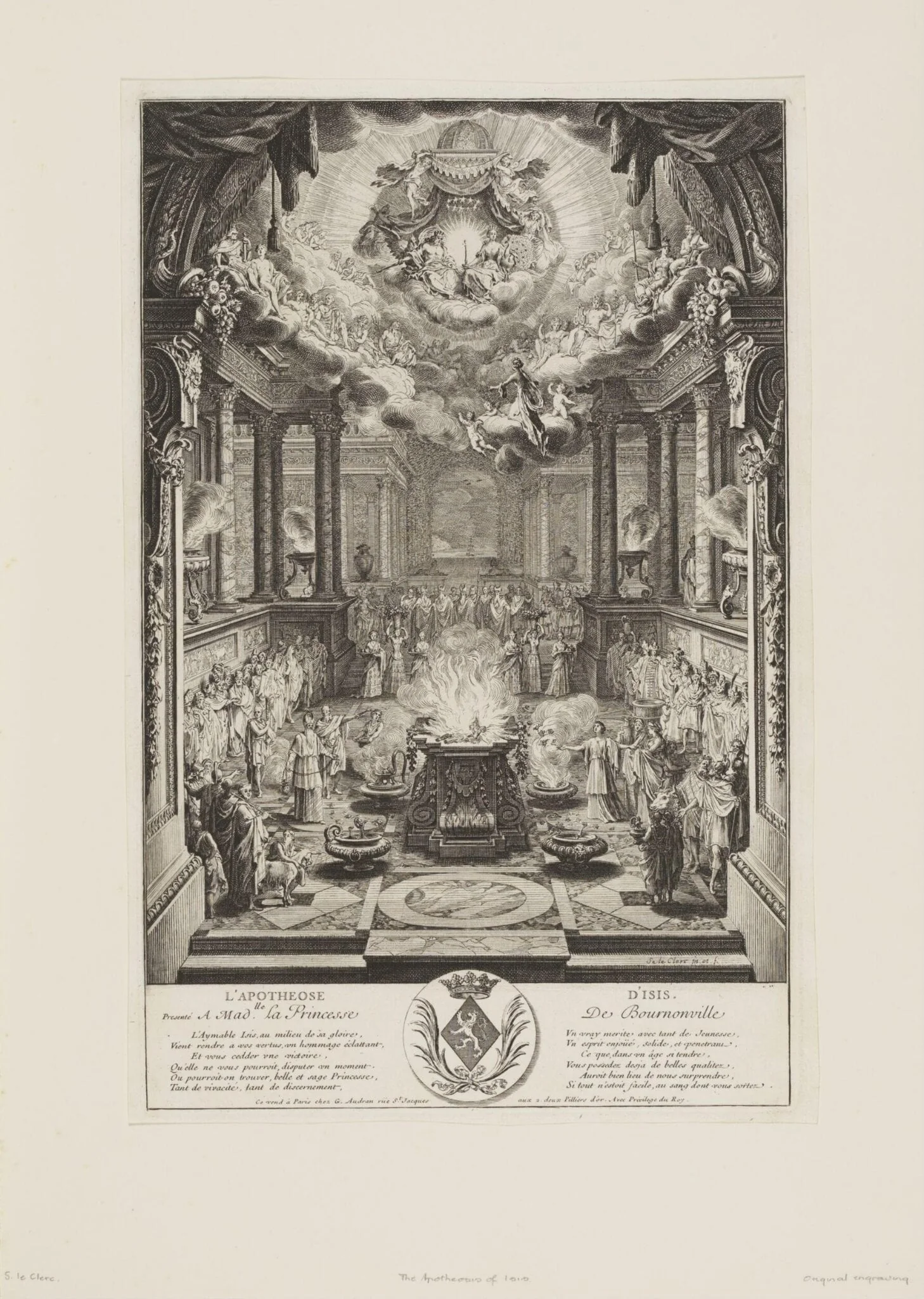 H Beard Print Collection, detail