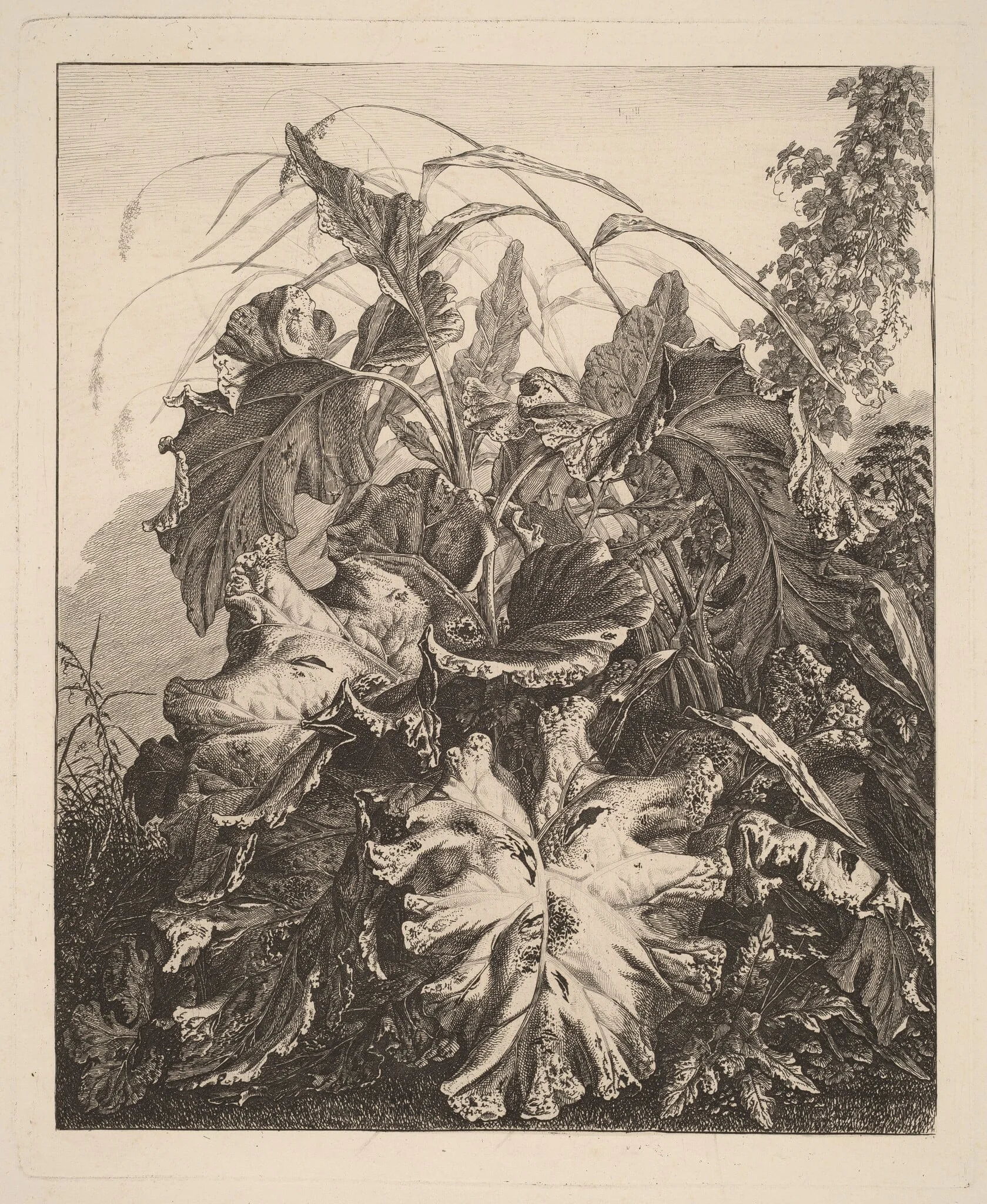 Foliage with Reeds, detail