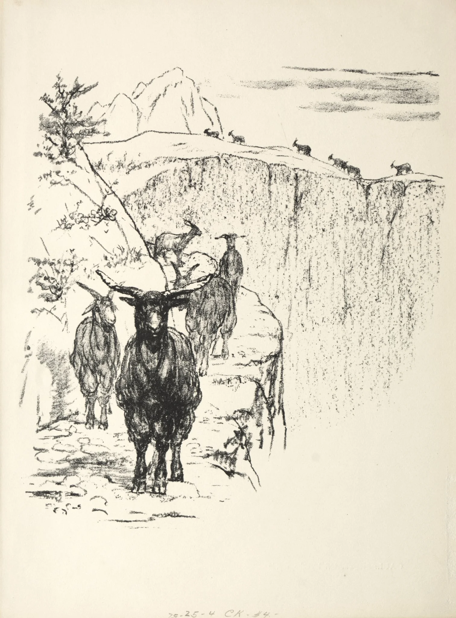 Goats, detail