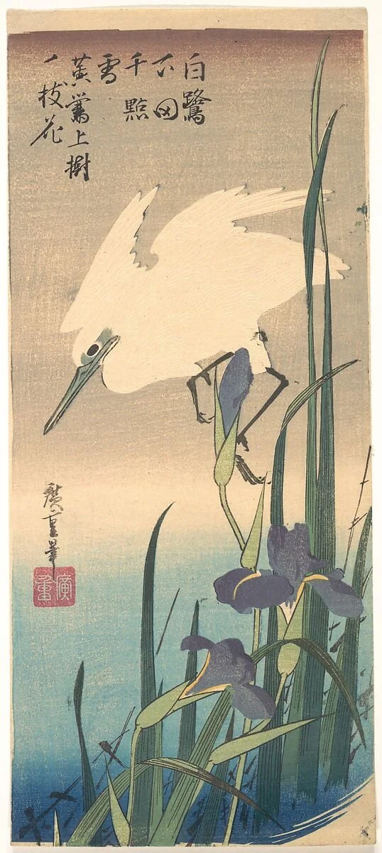 花菖蒲に白鷺|White Heron and Iris, detail