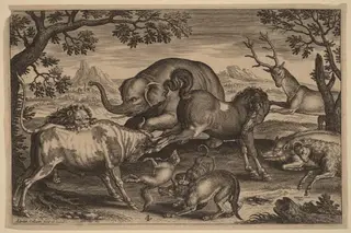 Lion, Bull, Fox, Wolf, Dog, Boar, Goat, Horse, Elephant and Deer, by Adriaen Collaert, ink, 1597