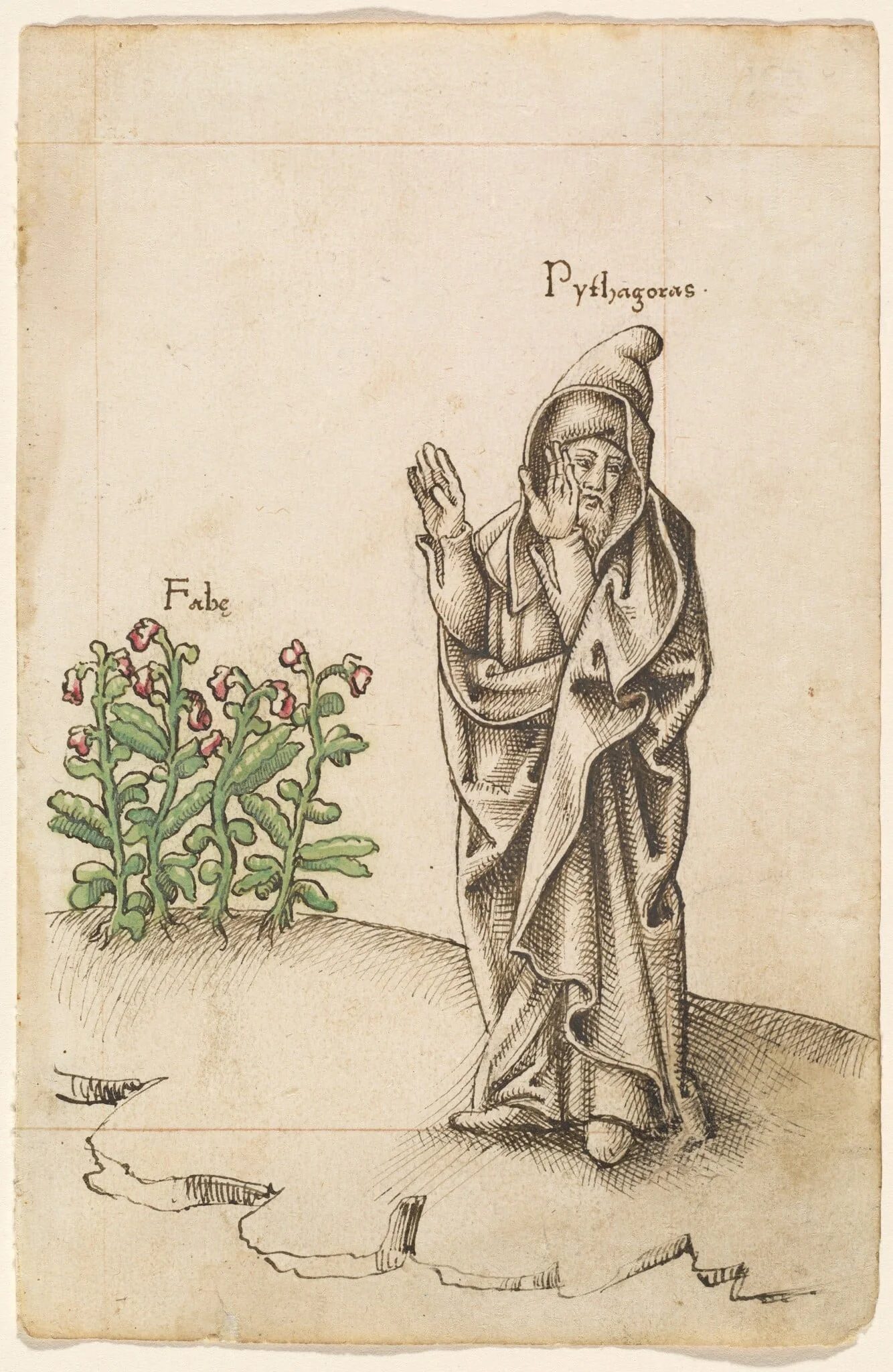 "Do Not Eat Beans" [fol. 25 recto], detail