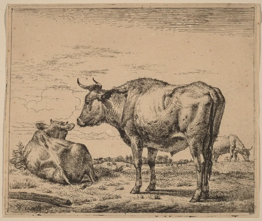 Standing Bull, by Adriaen van de Velde, ink, 1658