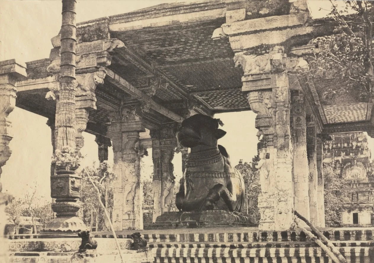 Great Pagoda, Great Bull, Front View, Tanjore, India (Rajarajeshvara Temple), plate 12 from Photographic Views of Tanjore and Trivady (Madras: Madras Presidency), detail