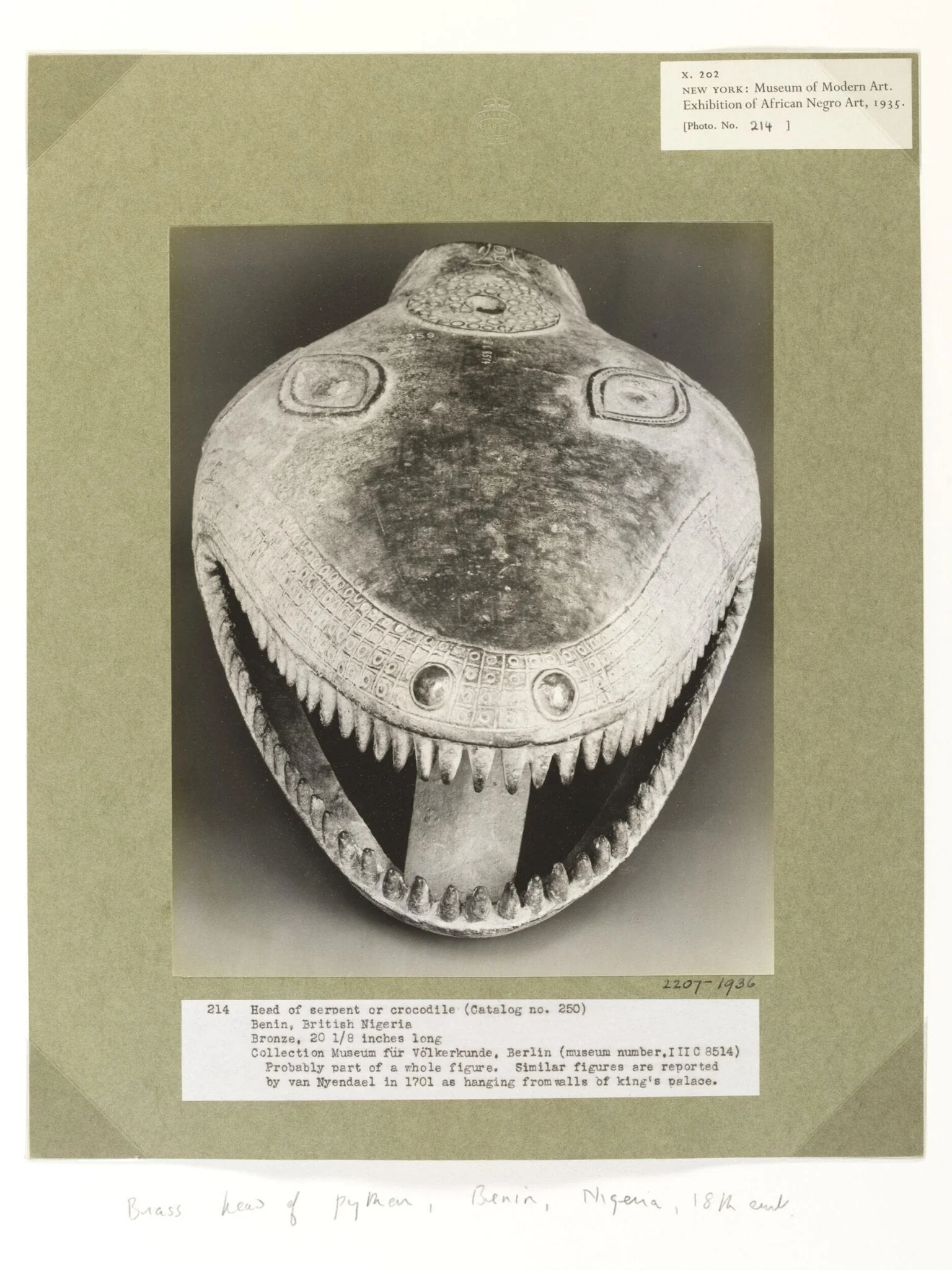 Snake's Head. Benin., detail