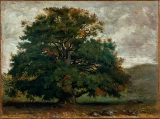 A Tree in Fontainebleau Forest, by Pierre-Etienne-Théodore Rousseau, oil, 1844
