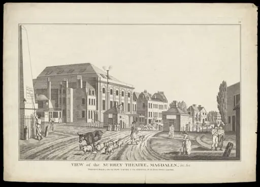 H Beard Print Collection, by Eastgate