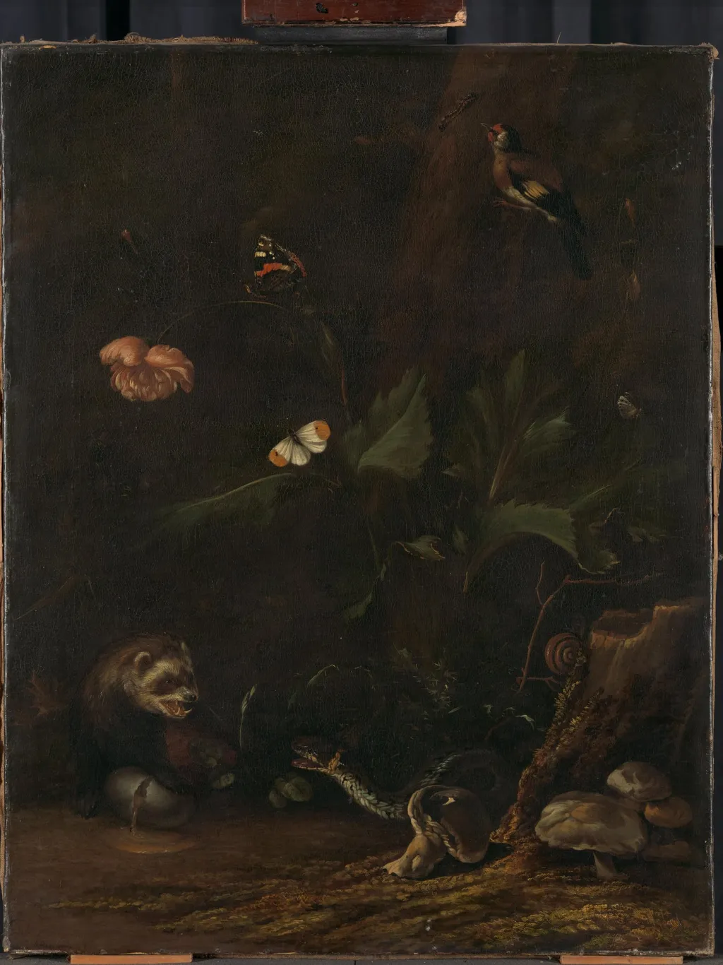 Animals and Plants, by Anthonie van Borssom, unspecified, 1664
