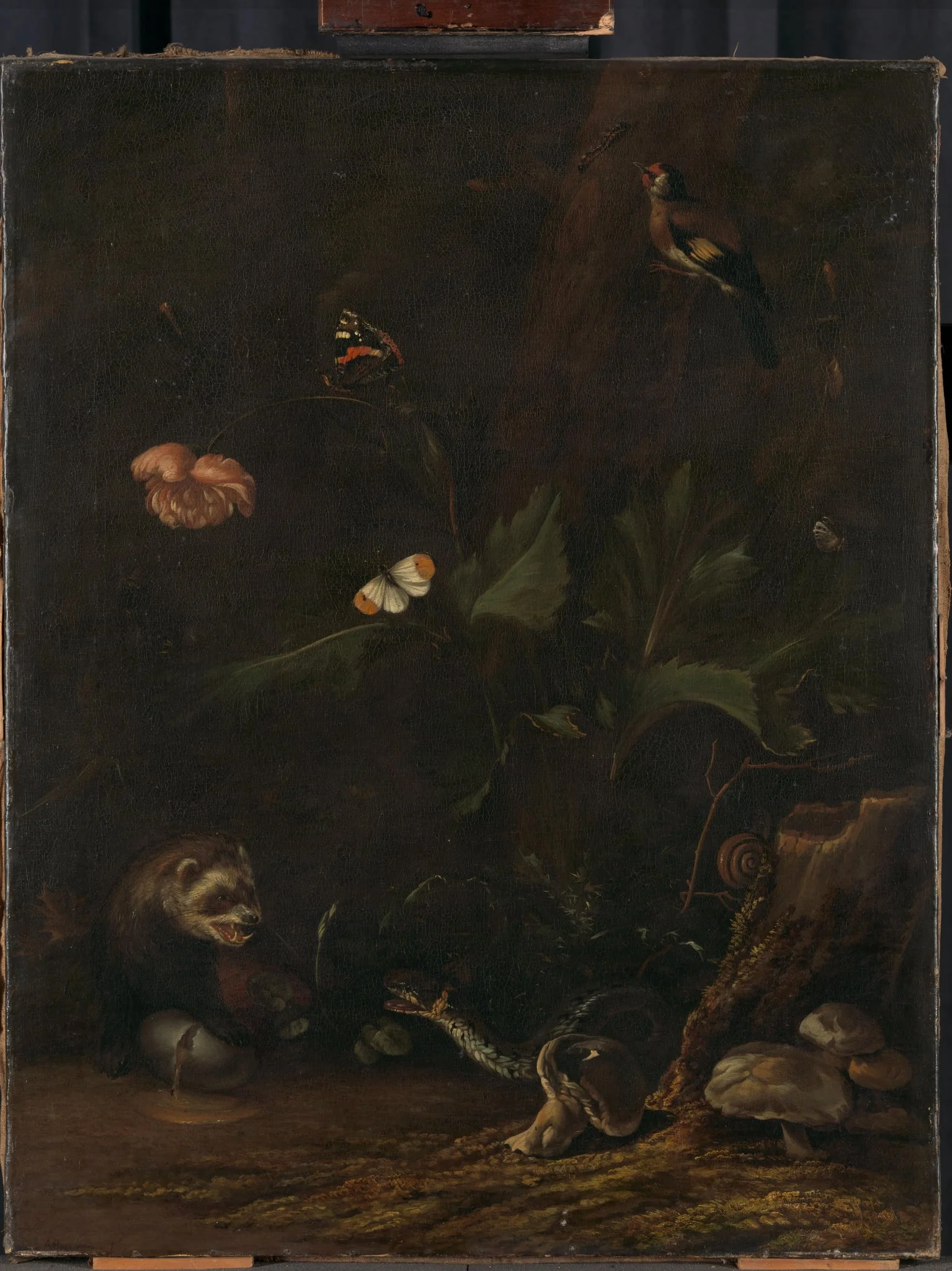 Animals and Plants, detail
