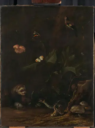 Animals and Plants, by Anthonie van Borssom, unspecified, 1664