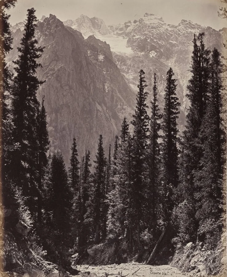 The Upper Himmalayahs. View in the Manga Valley, detail