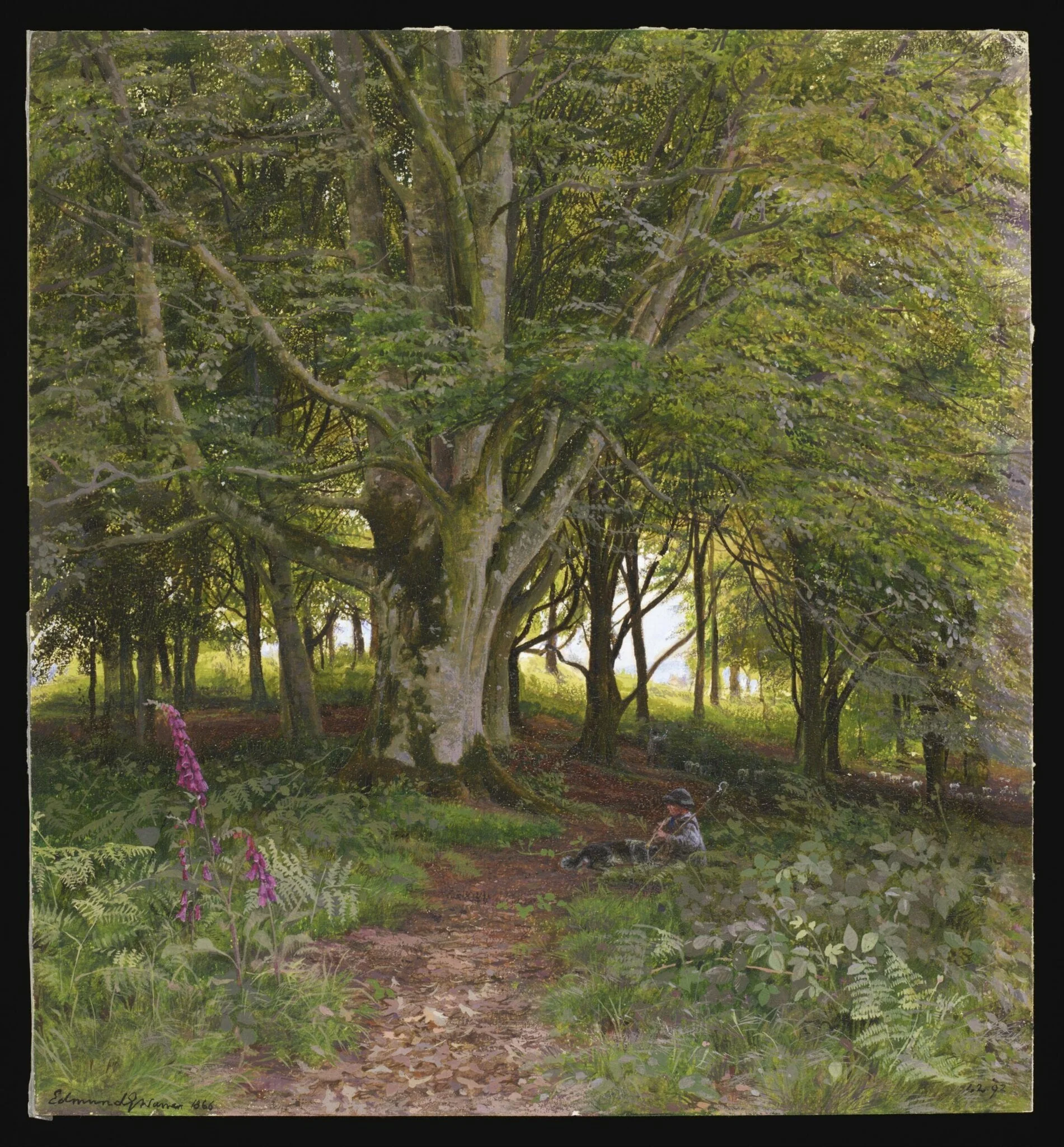 In the Wood, detail