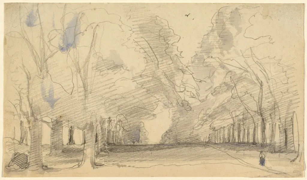 Avenue of Trees, by John Hayter, graphite, 1848
