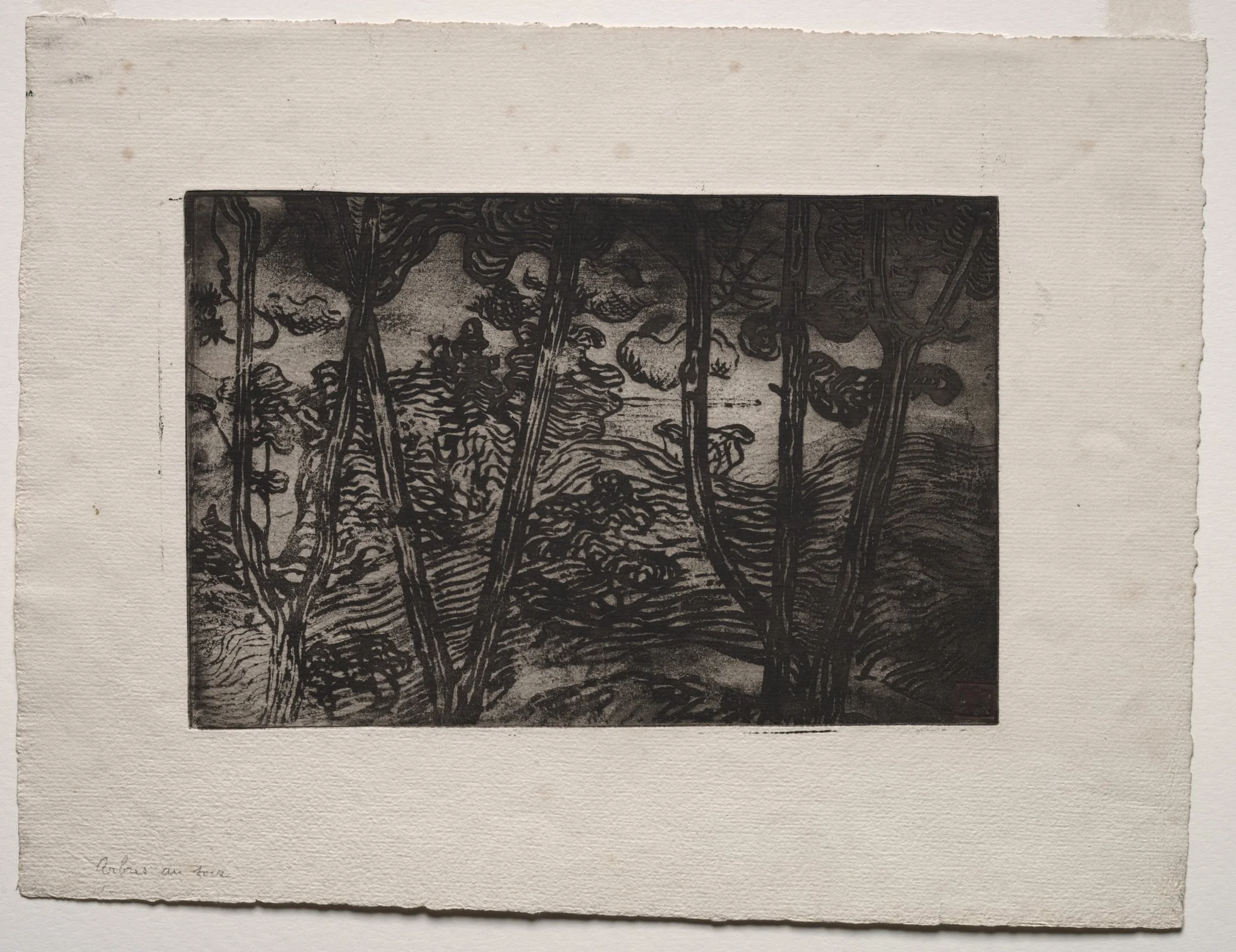 Trees at Night, detail