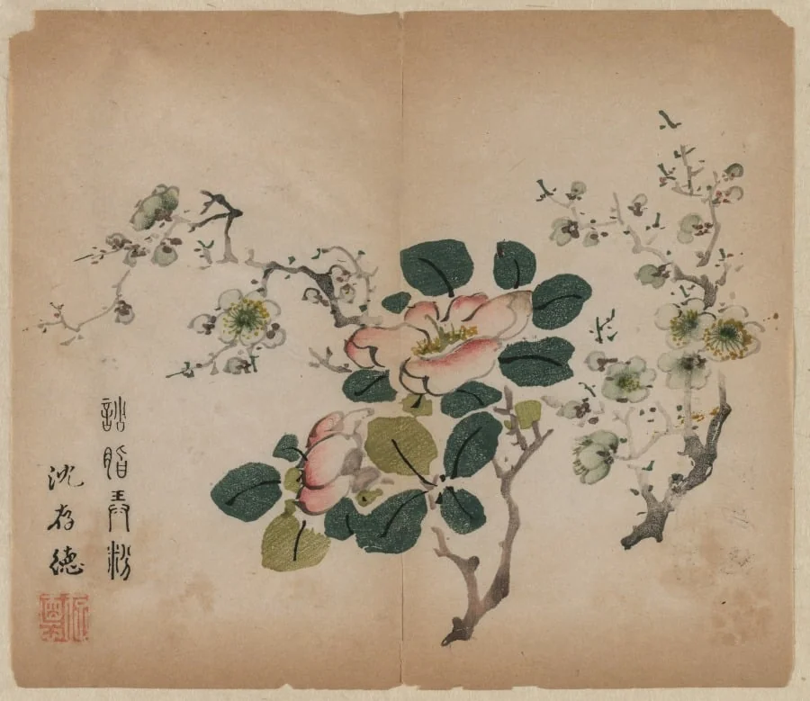 Flowering Prunus, detail