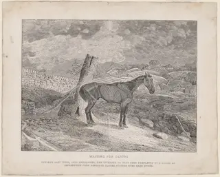 Waiting for Death, by Thomas Bewick, ink, 1828