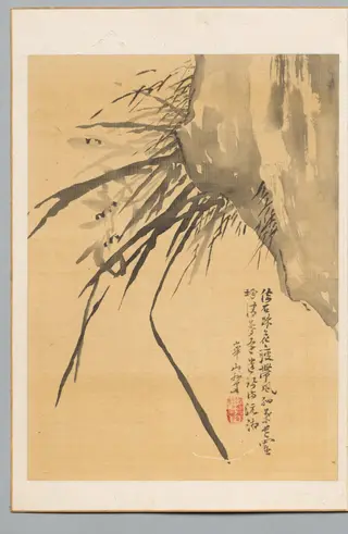 Orchid, by Watanabe Kazan, 1804