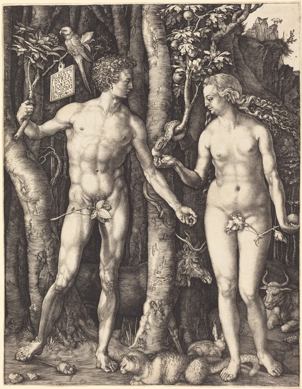 Adam and Eve, by Albrecht Dürer, ink, 1504
