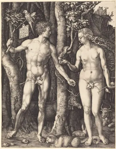 Adam and Eve, by Albrecht Dürer, ink, 1504