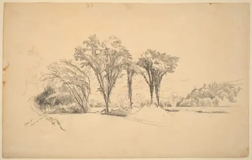 Stowe, Vermont, by Aaron Draper Shattuck, graphite, 1858