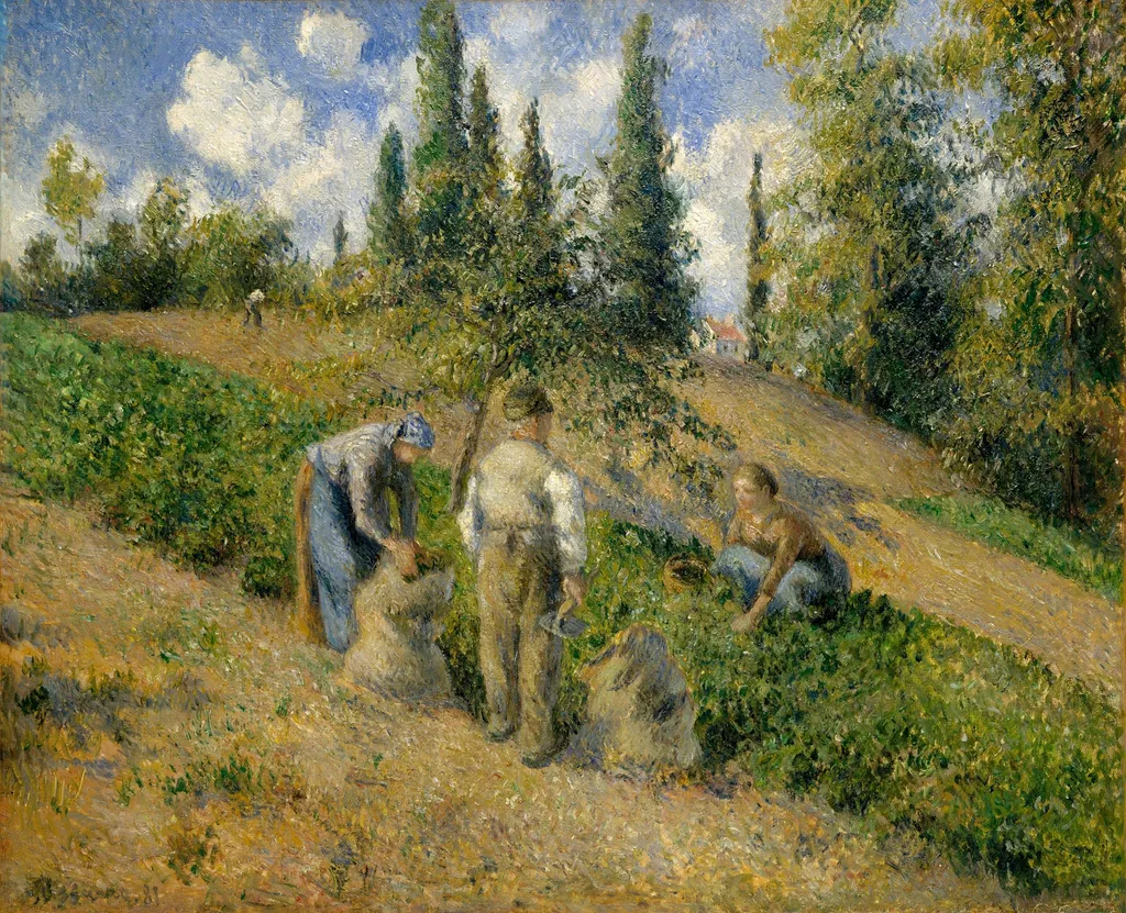 The Harvest, Pontoise (La Récolte, Pontoise), by Camille Pissarro, oil, 1891