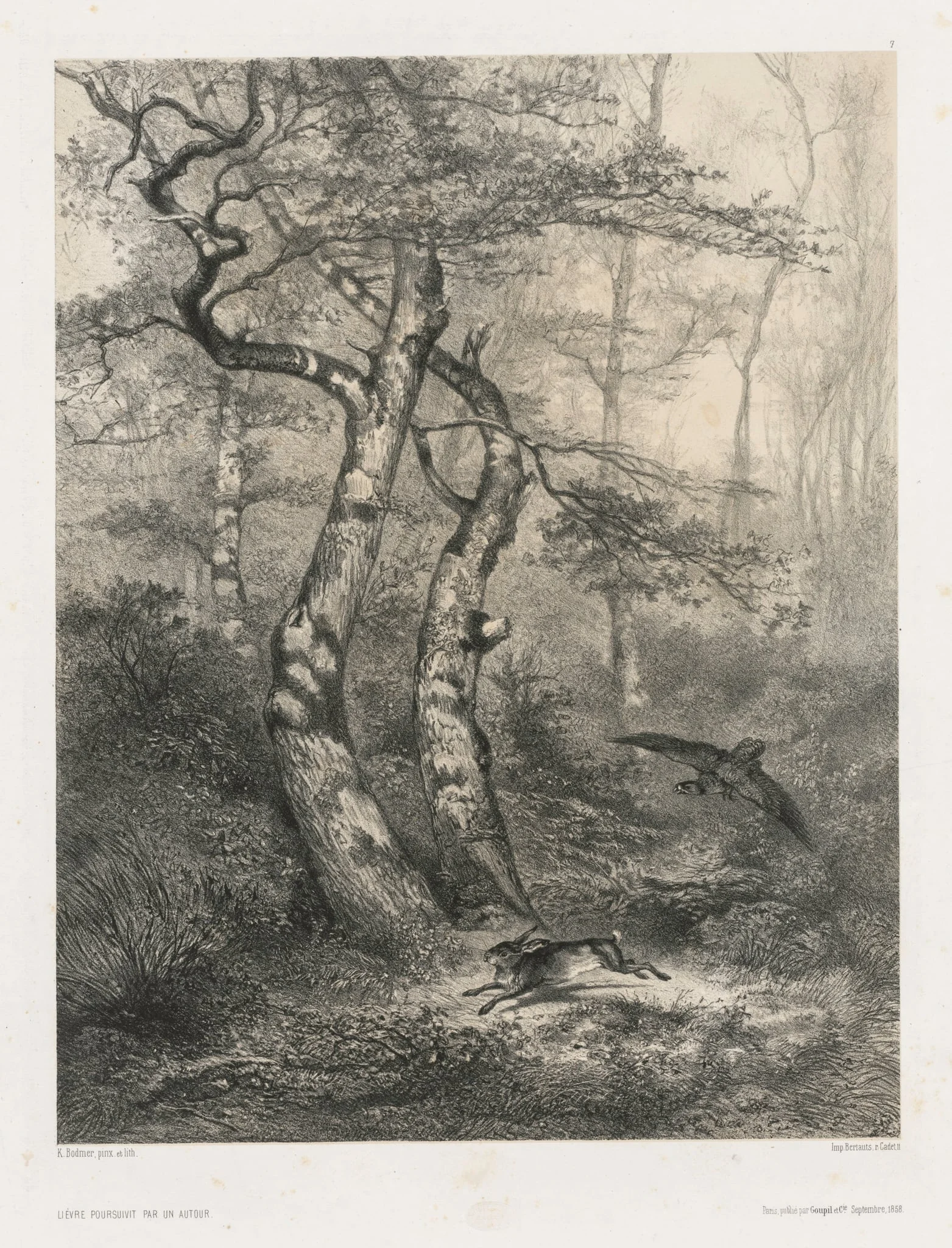Hare Pursued by a Goshawk, detail