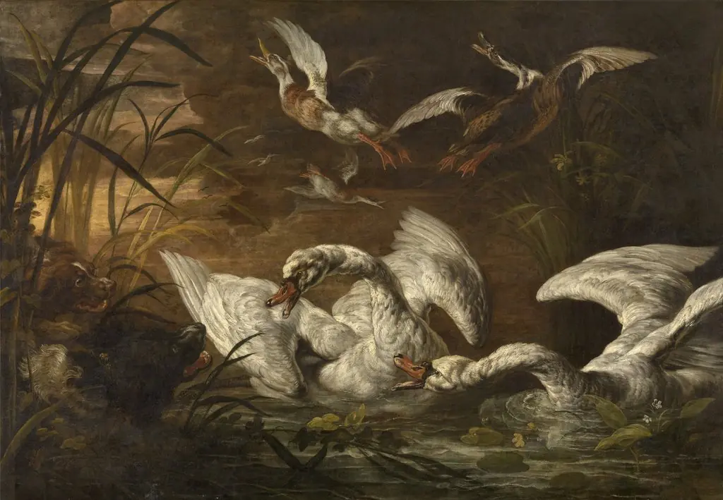 Swans and Dogs, by Nicasius Bernaerts, oil, 1600