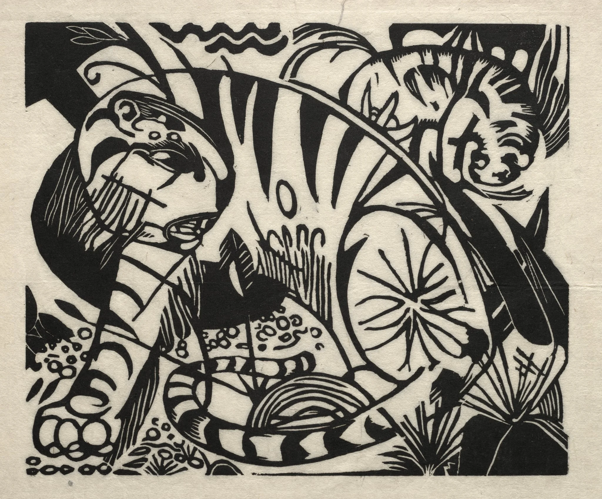 Tiger, detail