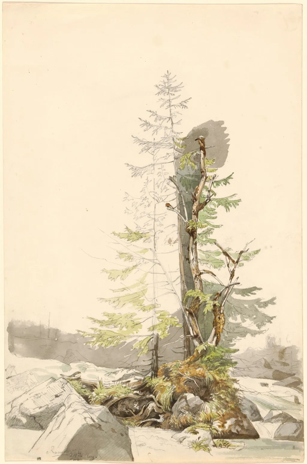 A Clump of Trees by a Rocky Stream in the Ramsau, by Carl Morgenstern, graphite, 1832