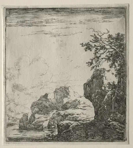 Le rocher couvert de buissons, by Herman Naiwinx, 1646