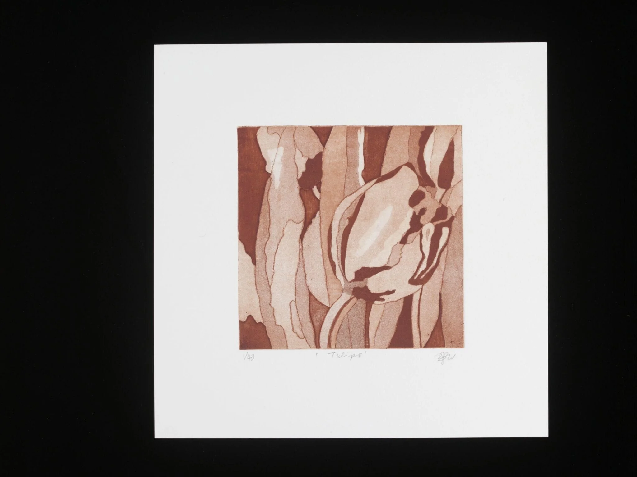Tulips, detail