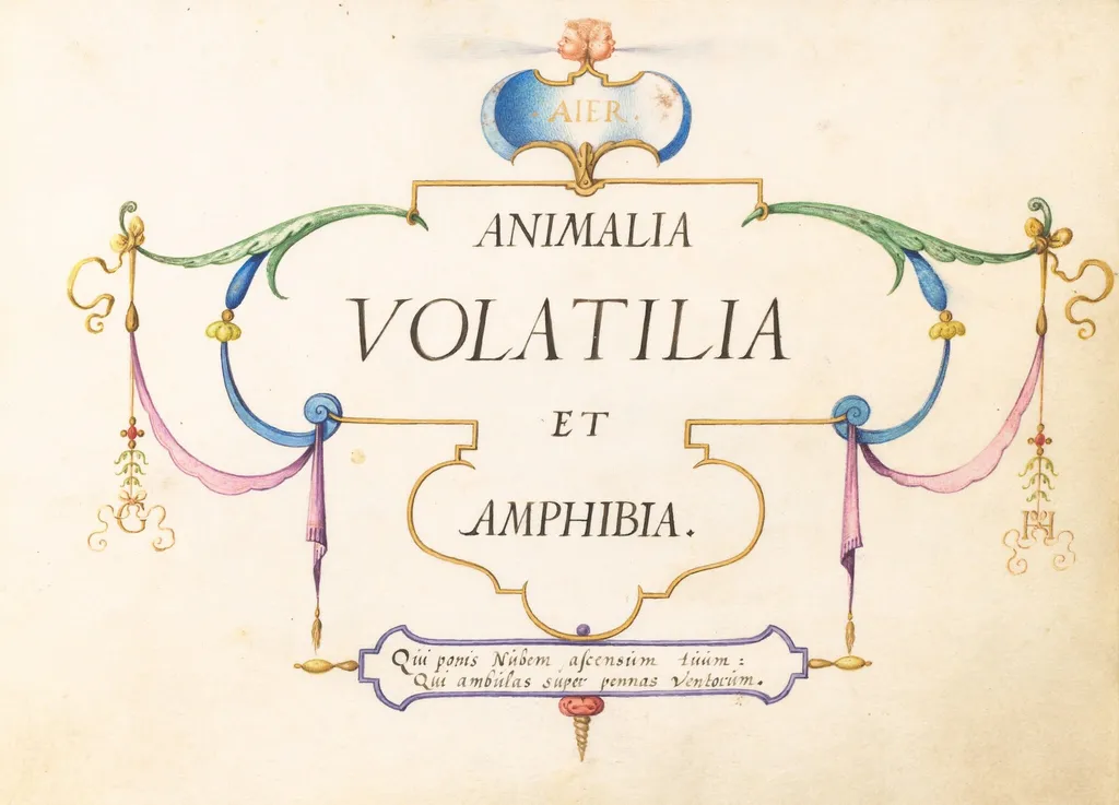 Title Page, by Joris Hoefnagel, gouache, 1594