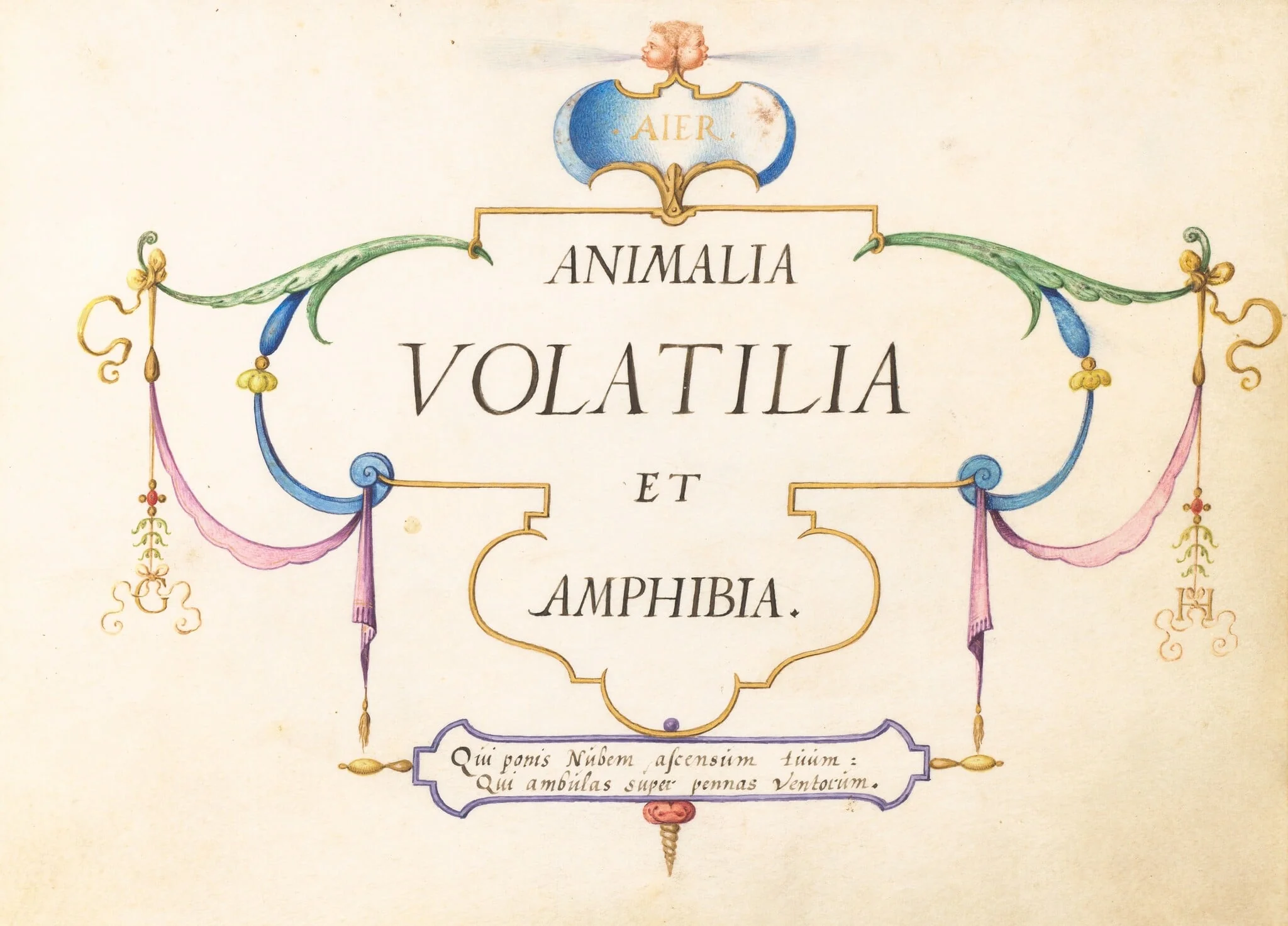 Title Page, detail