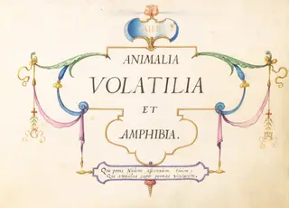 Title Page, by Joris Hoefnagel, gouache, 1594