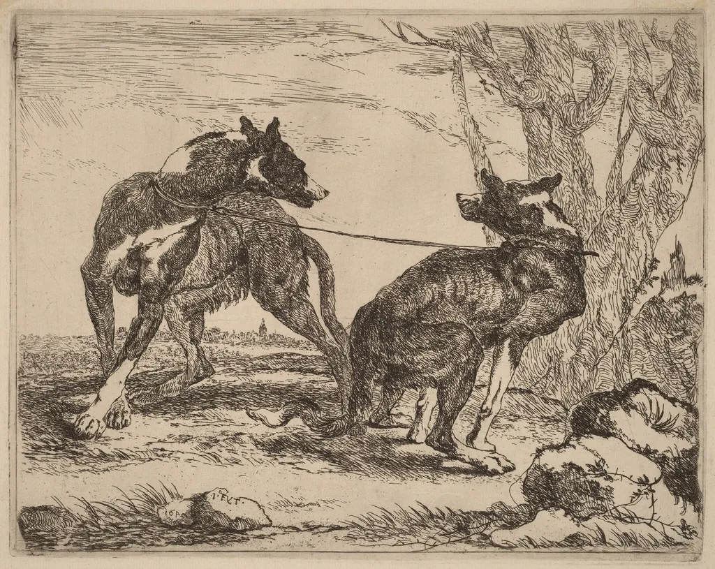Two Greyhounds, Leashed and Facing Each Other, by Jan Fyt, ink, 1642